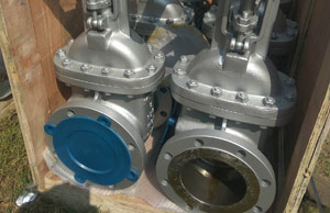 10 Inches Gate Valves